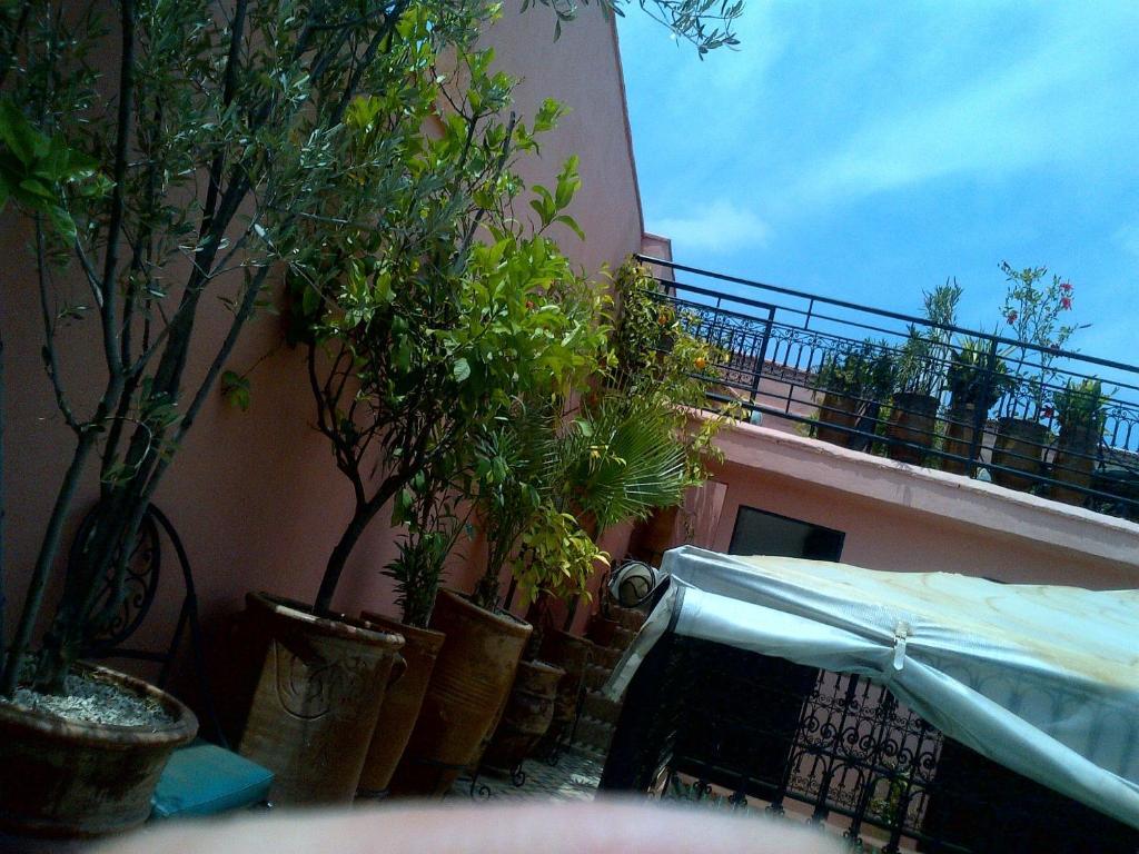Riad Lila Marrakesh Eksteriør billede